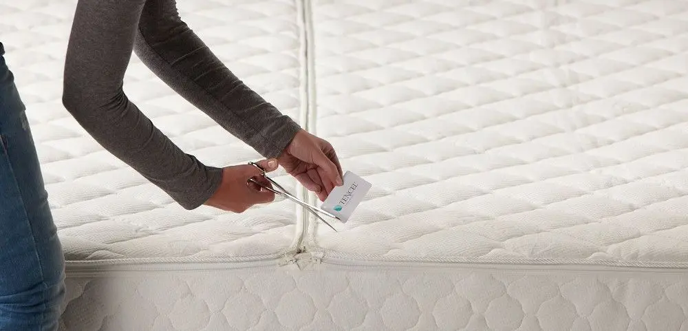 Tijk cropped (1).webp